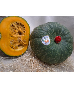 Squash "Delica" - Pumpkins from Italy