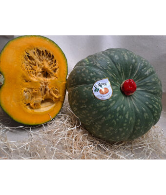 Squash "Delica" - Pumpkins from Italy