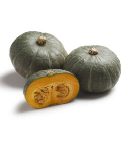 Squash "Delica" Pumpkins from Italy