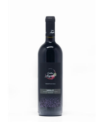 MERLOT Red Wine IGT Tre Venezie