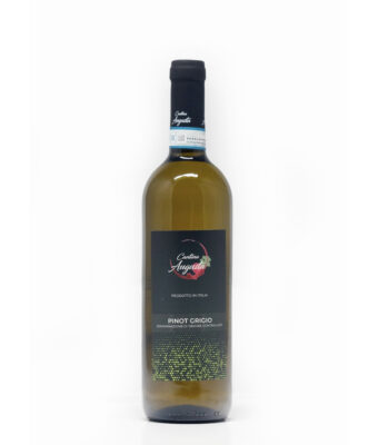 PINOT GRIGIO DOC White Wine