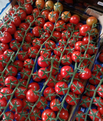 Pachino tomatoes