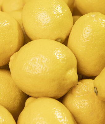 Sicilian Lemons